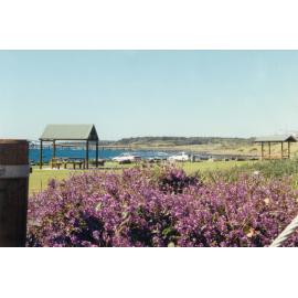 The Shallows Coastal Reserve