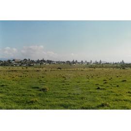 Shell Cove Estate Site