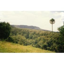 Clover Hill