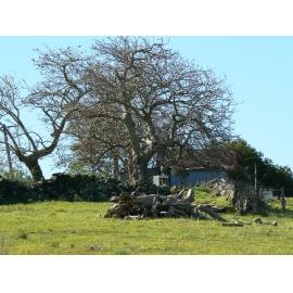Former Seymour Family Farm