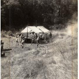 Shellharbour Scouts