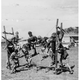 Shellharbour Scouts