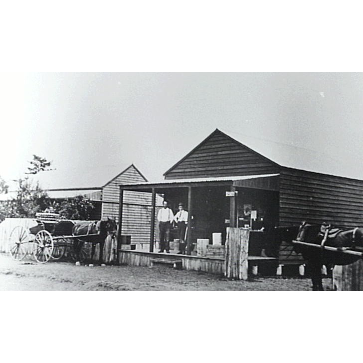Hazelton