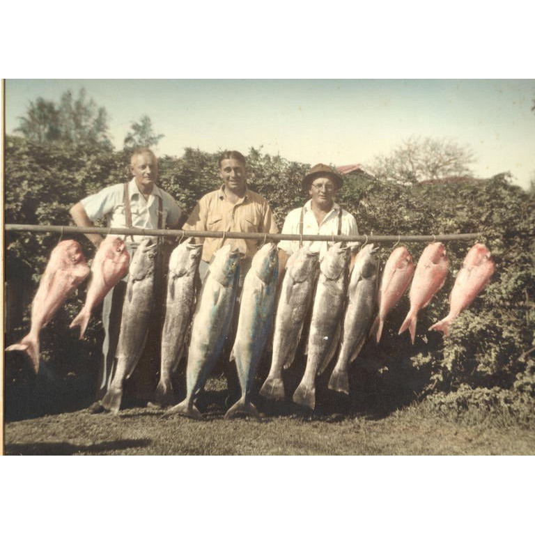 Fishing