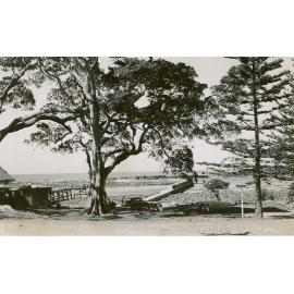 Shellharbour Harbour