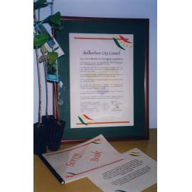 Shellharbour City Council National Sorry Day