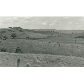 Shellharbour Road to Dunster's Hill
