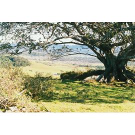 Croom School Site
