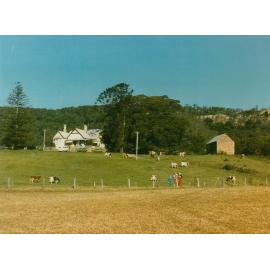 Wairanga and Buggy Shed