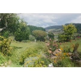 Toongla