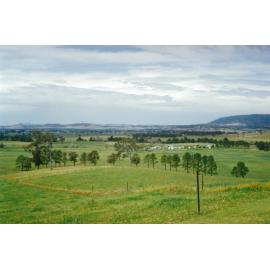 Albion Park from Marshall Mount