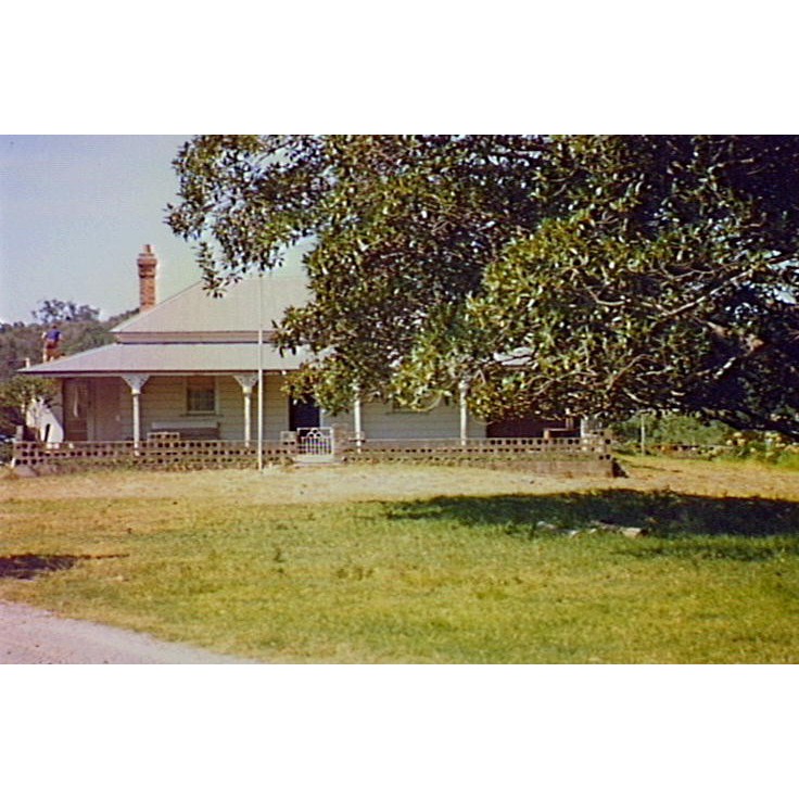 Ward