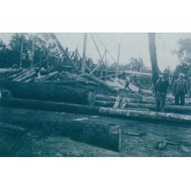 Albion Park Sawmill