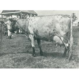 James Bros 'Kurrawong' Exhibit