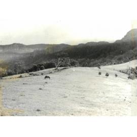 Macquarie Pass from Marshall Mount