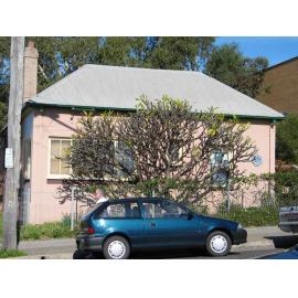 Thomas Family Cottage