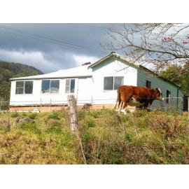 'The Oaks' 289 Yellow Rock Road