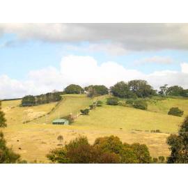 Dunster's Hill