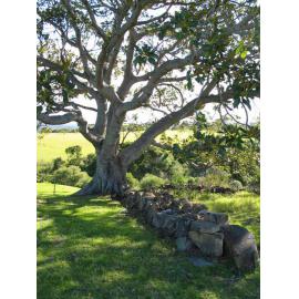 Killalea State Park