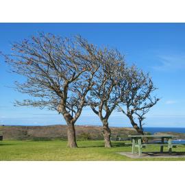 Killalea State Park