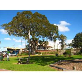 Little Park and Ocean Beach Hotel