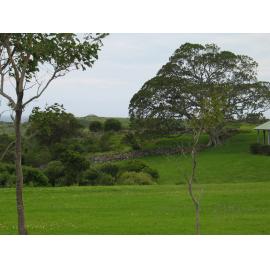 Dry Stone Walls, Killalea State Park