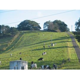Dunster's Hill