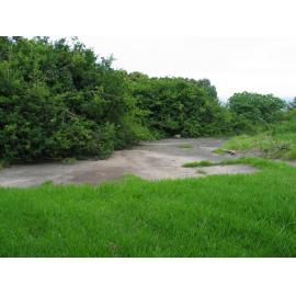 Watsonia Site