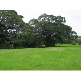Watsonia Site