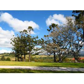 Wentworth Cottage Park
