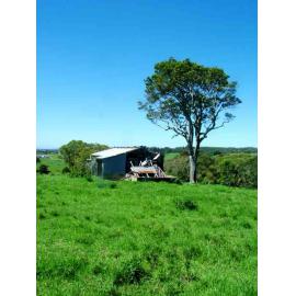 Shed at Toongla