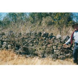 Stone Wall at 'Glenbrook', Stoney Creek