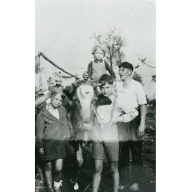 Graham Family With Pet Cow Bonnie