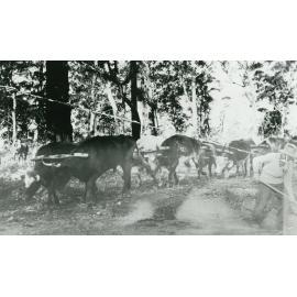 Charles Graham and Bullock Team