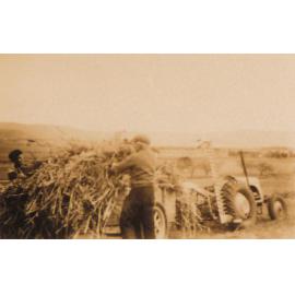 Clout's Farm, Stoney Range