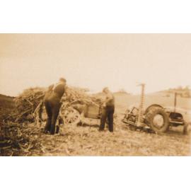 Clearing Scrub at Clout's Farm, Stoney Range