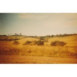 Dunster's Hill