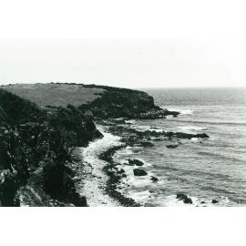 Westringia Point