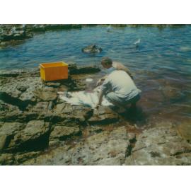 Fishing at Shellharbour Harbour