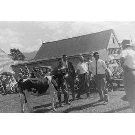 The Albion Park Show
