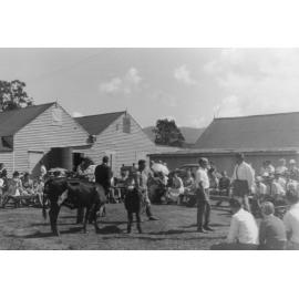 The Albion Park Show