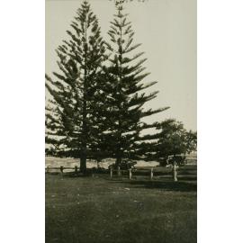 Shellharbour Foreshore