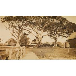 Shellharbour Village