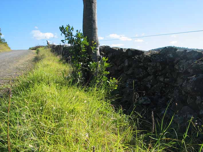 Dry Stone Wall, Rocklow Road, Dunmore, c.2003.