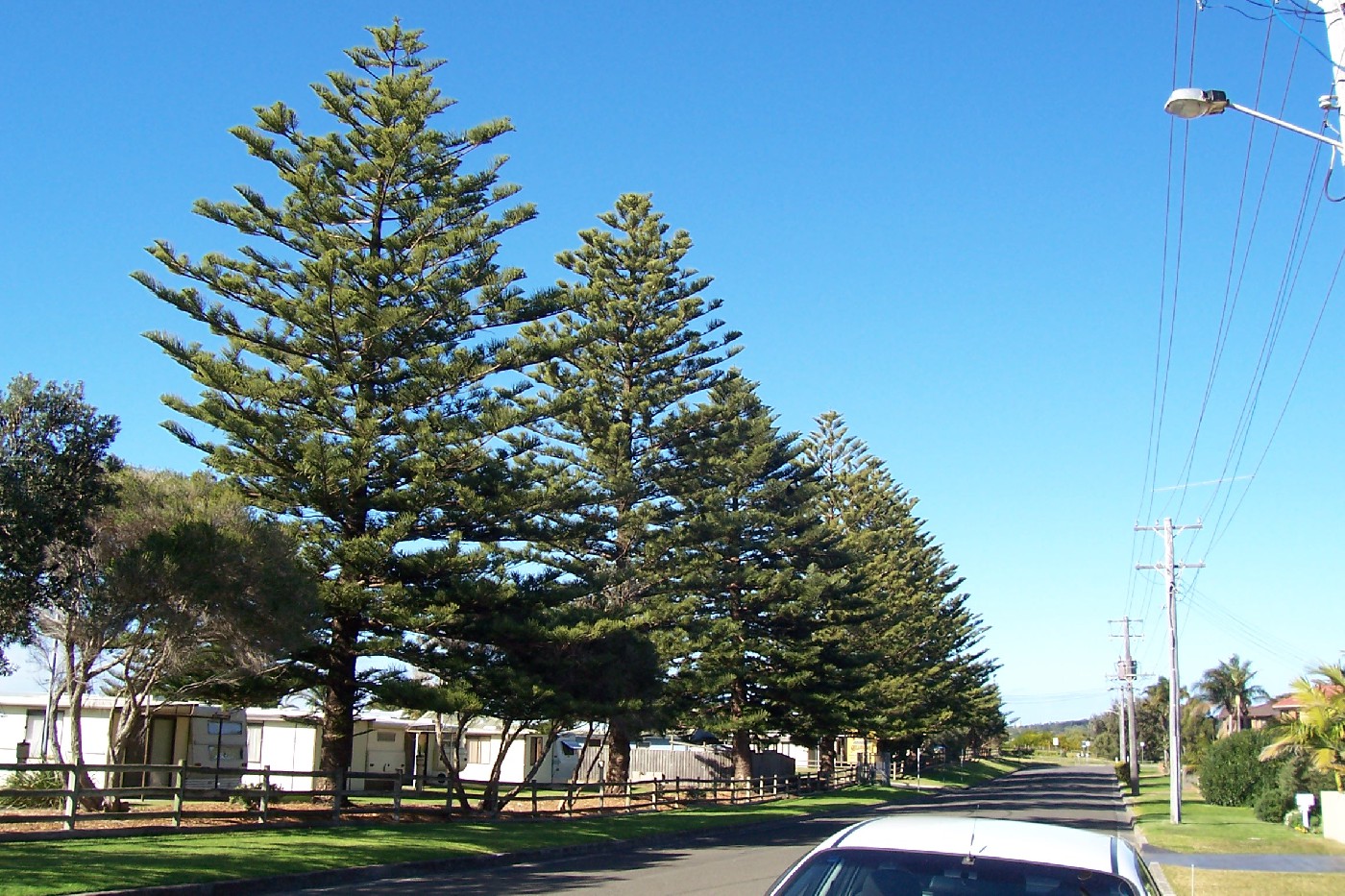 Shellharbour Beachside Tourist Park, c.2003.